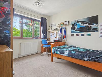 Picture 17